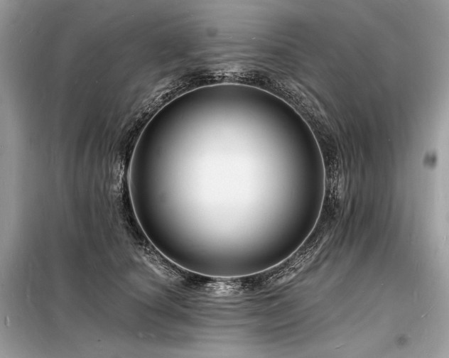 X0000098230660200804241341