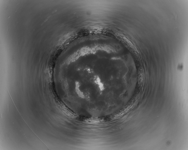 X0000098230661200804241341