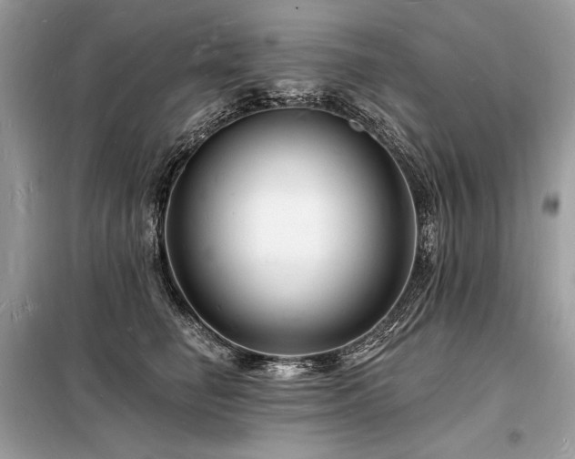 X0000098230662200804241341