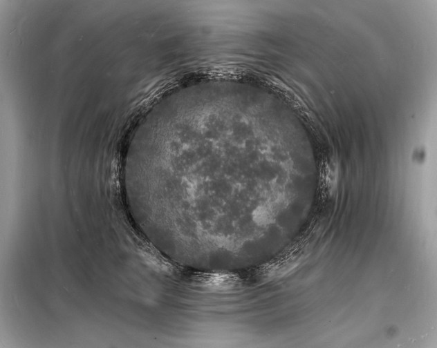 X0000098230663200804241341