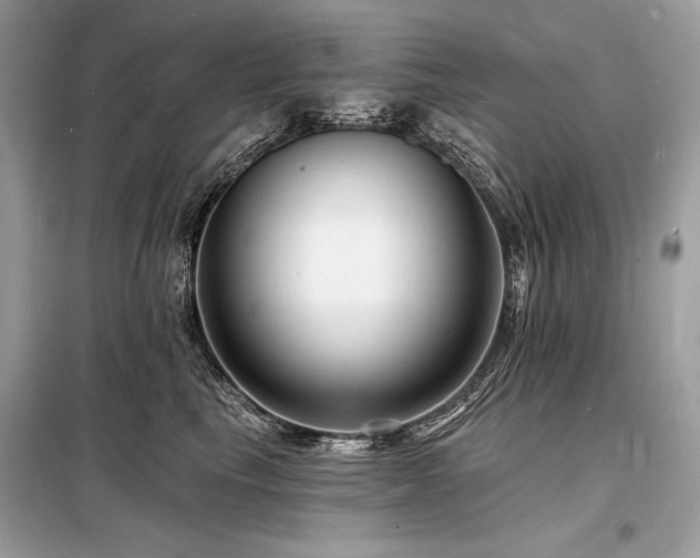 X0000098230665200804241341