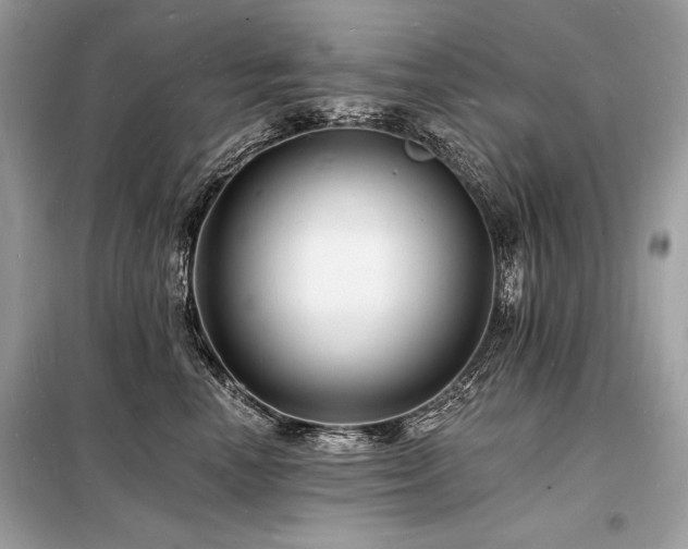 X0000098230666200804241341