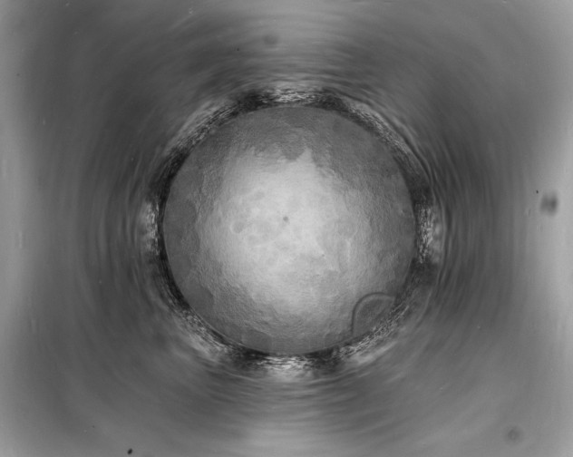X0000098230667200804241341