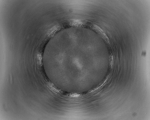 X0000098230669200804241342