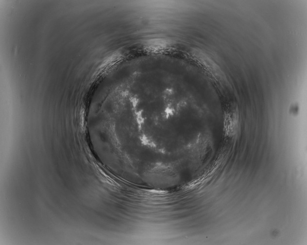 X0000098230670200804241342