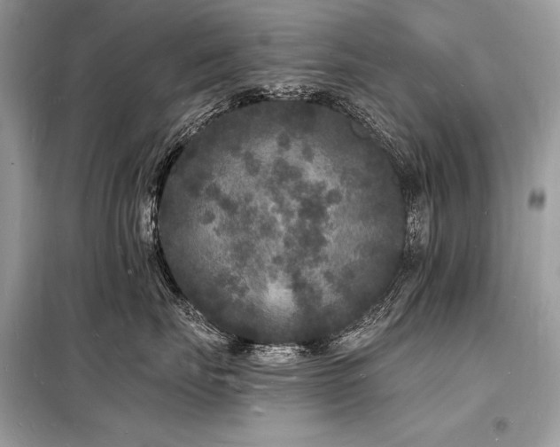 X0000098230671200804241342