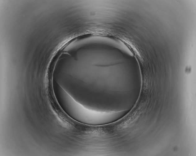 X0000098230674200804241341