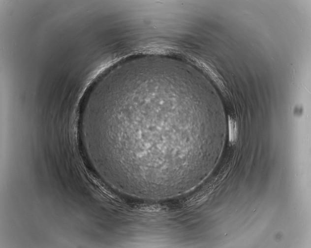 X0000098230675200804241341