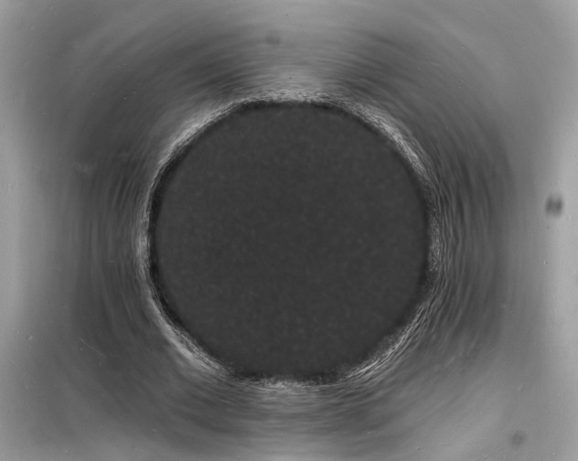 X0000098230677200804241341