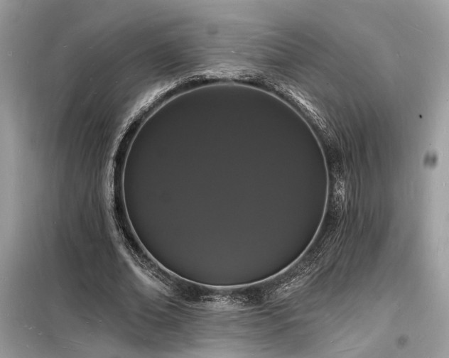 X0000098230678200804241341