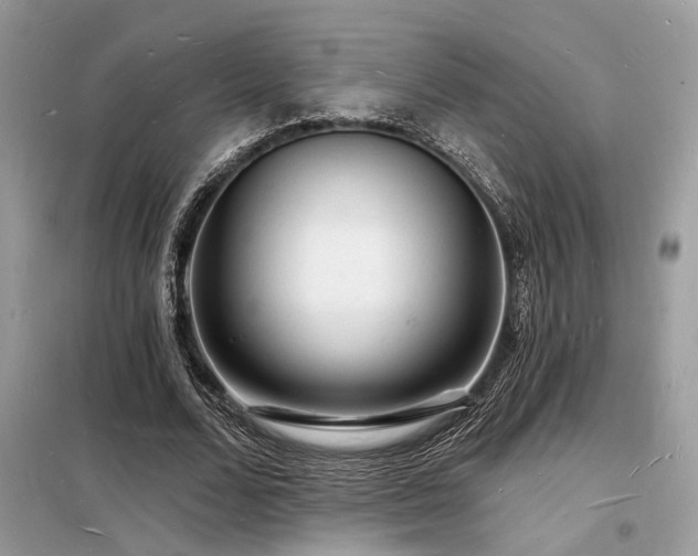 X0000098230680200804241341