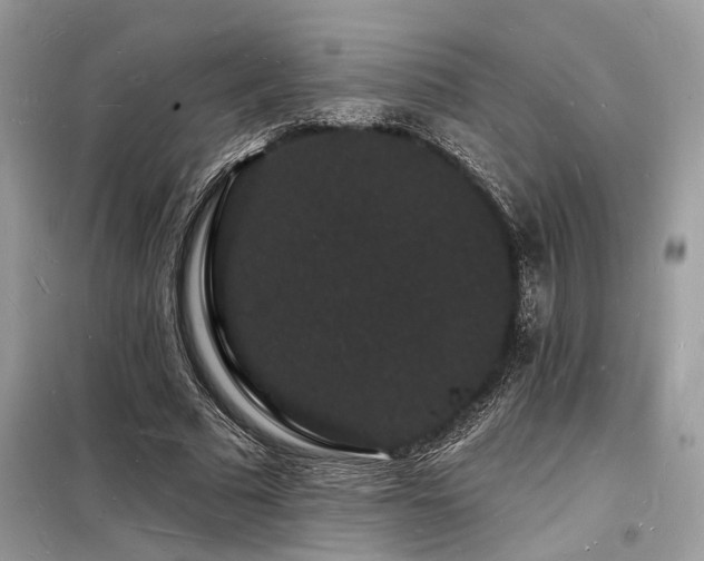 X0000098230681200804241341