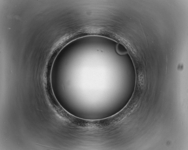 X0000098230682200804241341