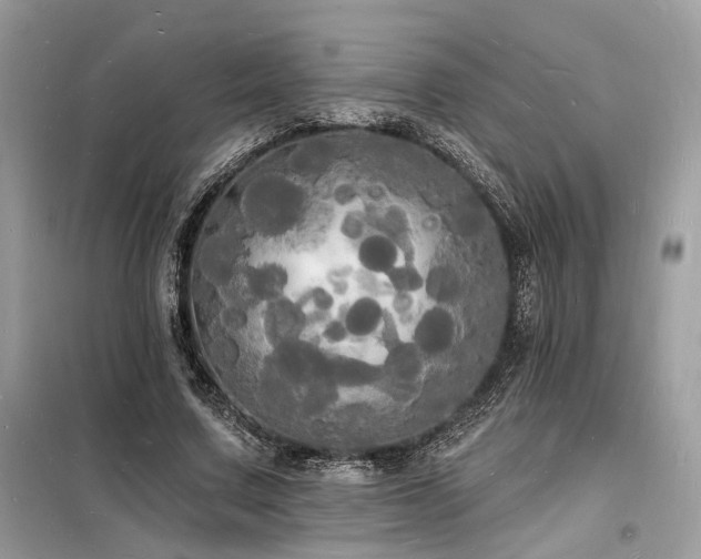 X0000098230683200804241341