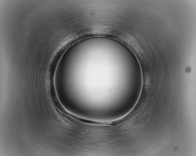 X0000098230684200804241341