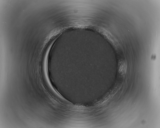 X0000098230685200804241341