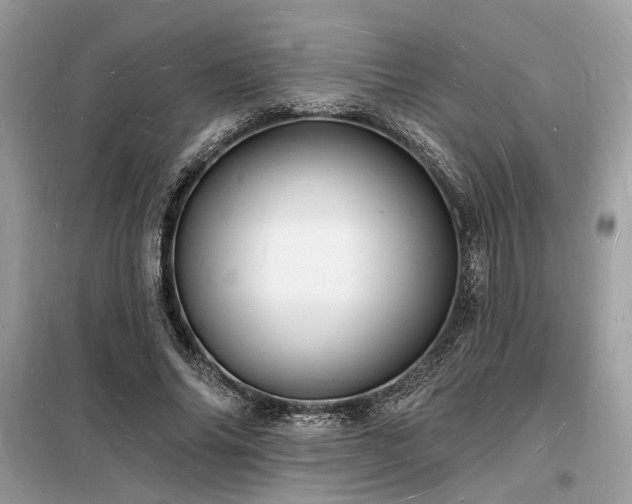 X0000098230686200804241341