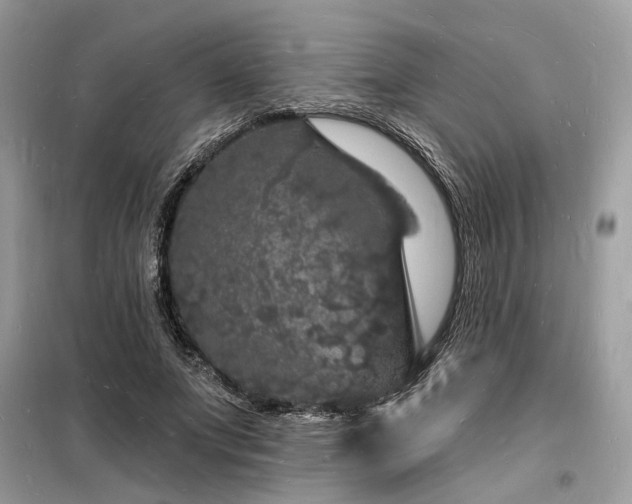 X0000098230687200804241341