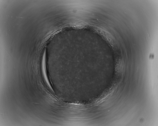 X0000098230689200804241341