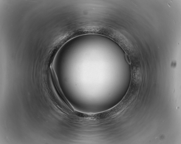 X0000098230692200804241341