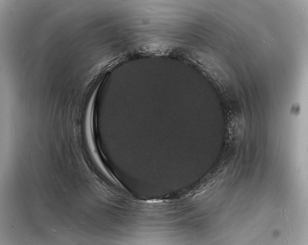 X0000098230693200804241341