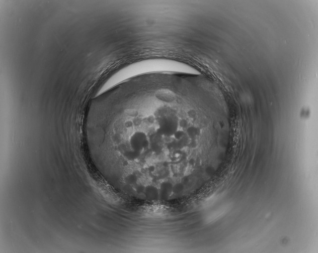 X0000098230695200804241341