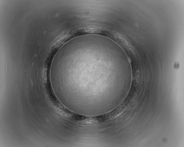 X0000098230696200804241341