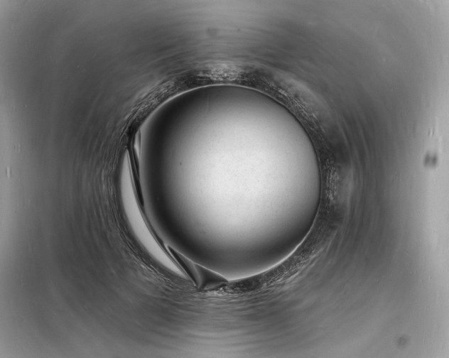 X0000098230697200804241341