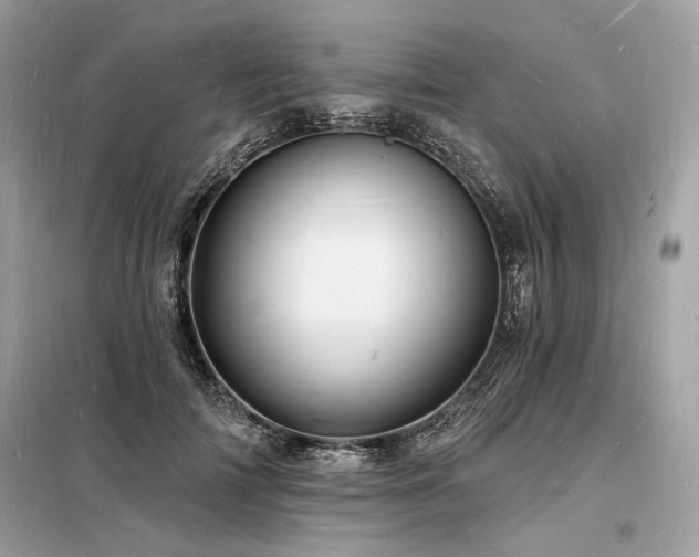 X0000098230698200804241341