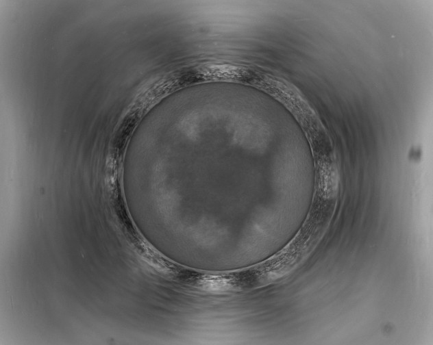 X0000098230701200804241340