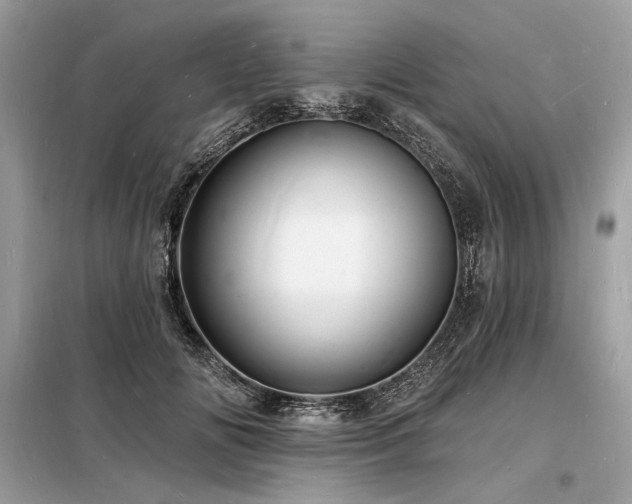 X0000098230702200804241340