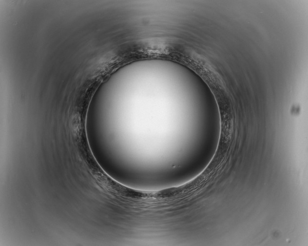 X0000098230704200804241340