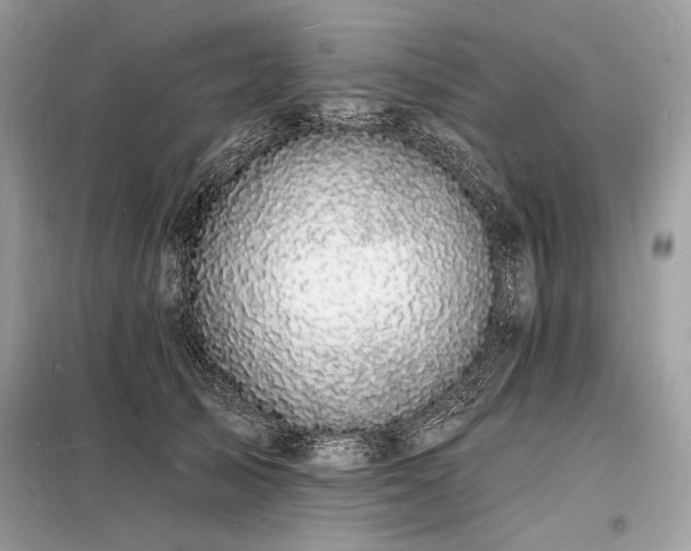 X0000098230705200804241340