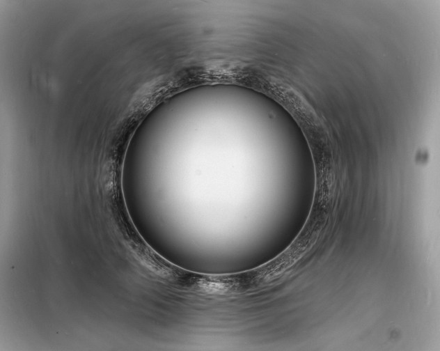 X0000098230706200804241340