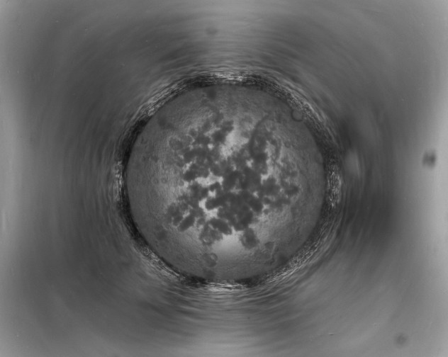 X0000098230707200804241340