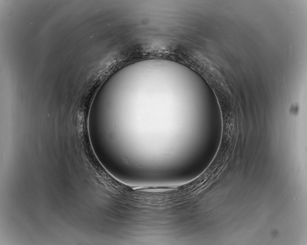 X0000098230708200804241340
