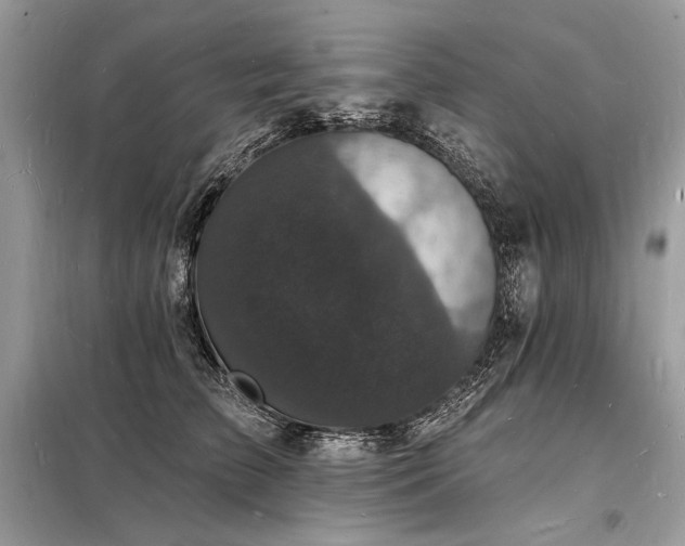 X0000098230709200804241340