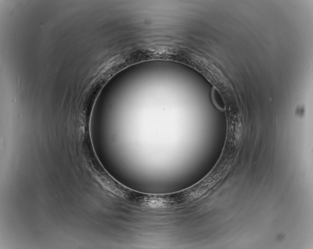 X0000098230710200804241340