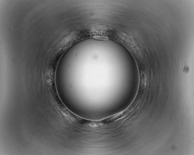 X0000098230712200804241340