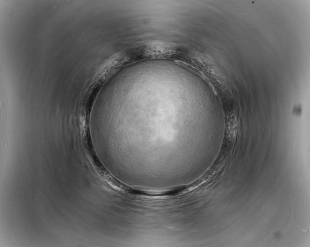 X0000098230716200804241340