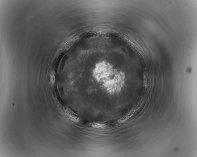 X0000098230718200804241340