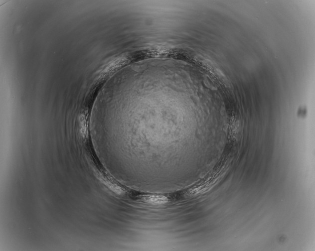 X0000098230719200804241340