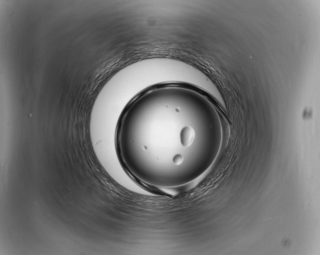 X0000098230720200804241340
