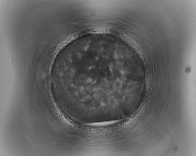 X0000098230721200804241340