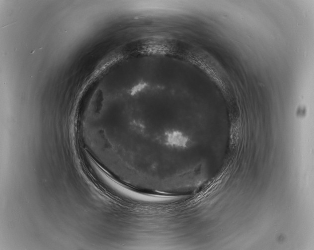 X0000098230722200804241340