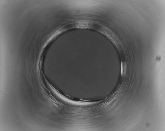 X0000098230723200804241340