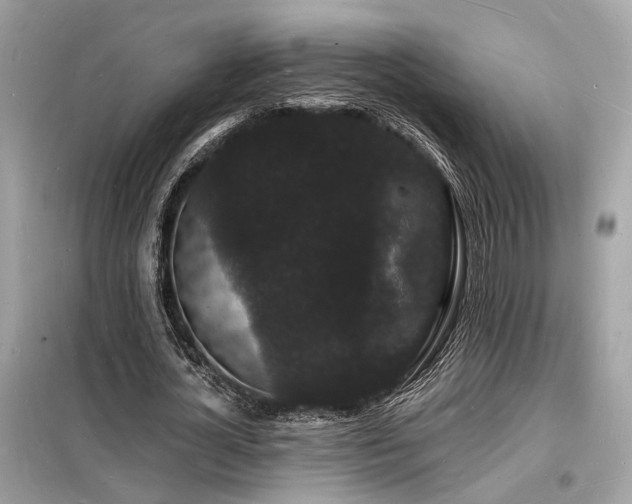 X0000098230724200804241340