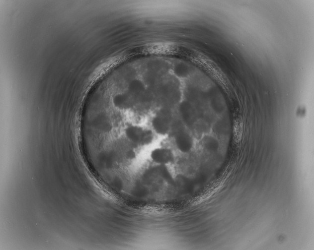 X0000098230725200804241340