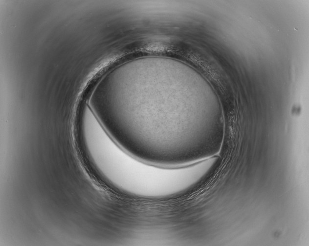 X0000098230728200804241340