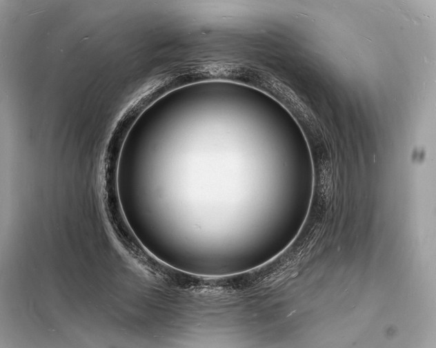 X0000098230730200804241340